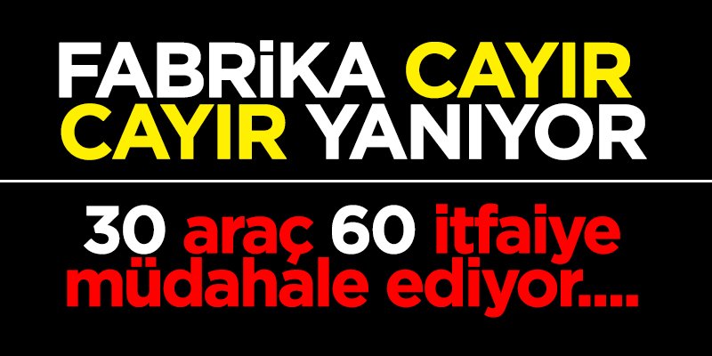 Fabrika cayır cayır yanıyor