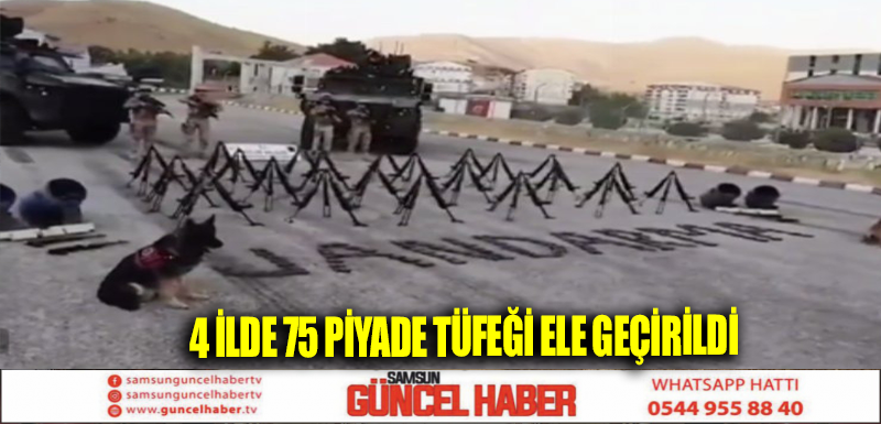 4 İLDE 75 PİYADE TÜFEĞİ ELE GEÇİRİLDİ