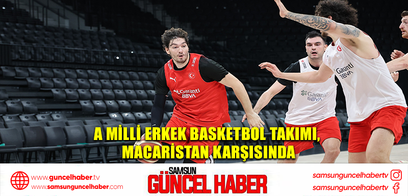 A Milli Erkek Basketbol Takımı, Macaristan karşısında