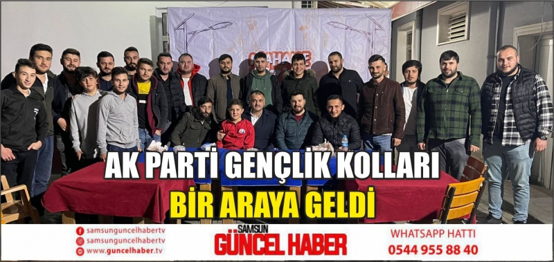 AK PARTİ GENÇLİK KOLLARI BİR ARAYA GELDİ