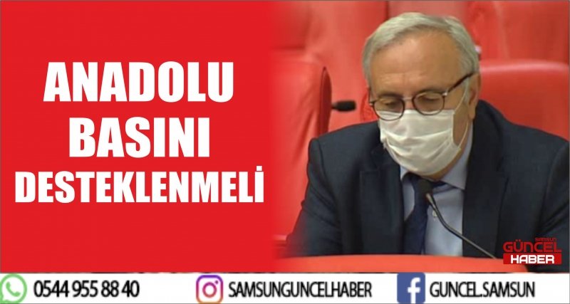 ANADOLU BASINI DESTEKLENMELİ