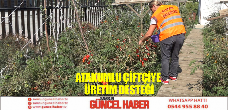 Atakumlu çiftçiye  üretim desteği