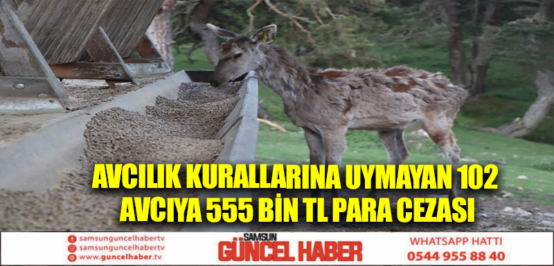 Avcılık kurallarına uymayan 102 avcıya 555 bin TL para cezası