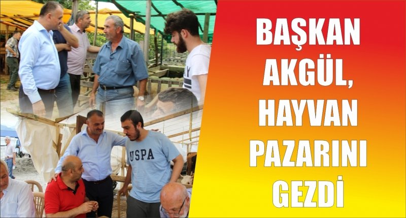 BAŞKAN AKGÜL, HAYVAN PAZARINI GEZDİ