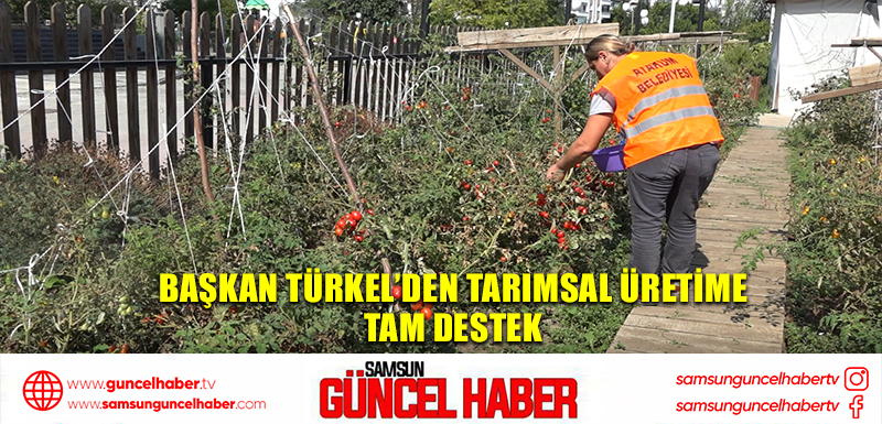 Başkan Türkel’den tarımsal üretime  tam destek