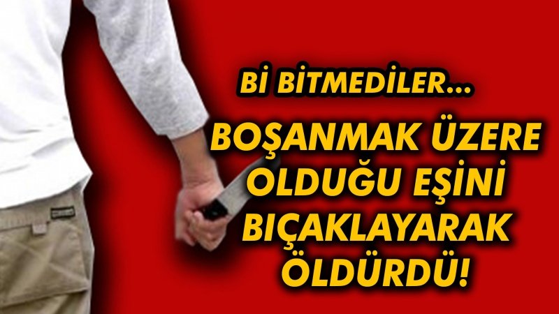 Boşanmak üzere olduğu eşini bıçaklayarak öldürdü