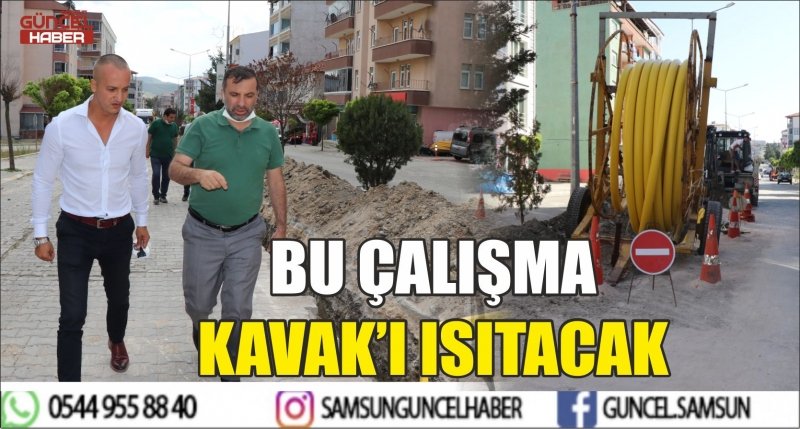 BU ÇALIŞMA KAVAK’I ISITACAK