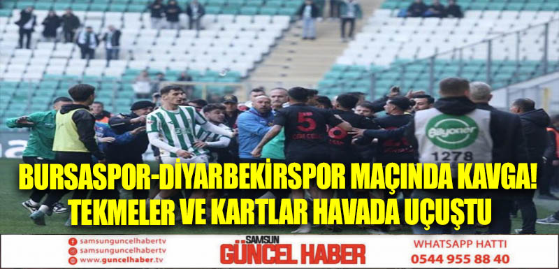 Bursaspor-Diyarbekirspor maçında kavga! Tekmeler ve kartlar havada uçuştu