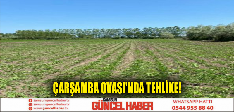 ÇARŞAMBA OVASI'NDA TEHLİKE!