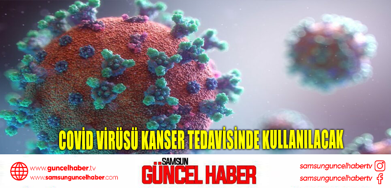 Covid virüsü kanser tedavisinde kullanılacak