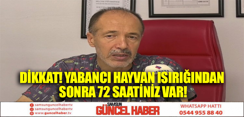 DİKKAT! YABANCI HAYVAN ISIRIĞINDAN SONRA 72 SAATİNİZ VAR!