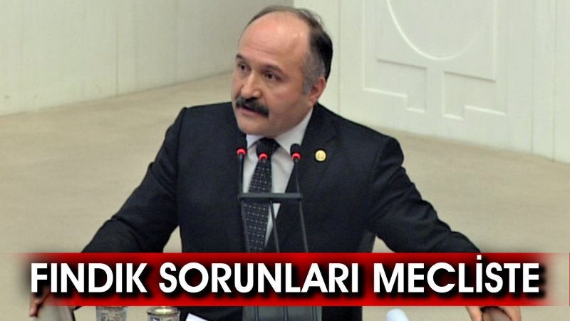 FINDIK SORUNLARI MECLİSTE