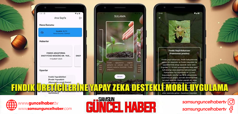 Fındık üreticilerine yapay zeka destekli mobil uygulama