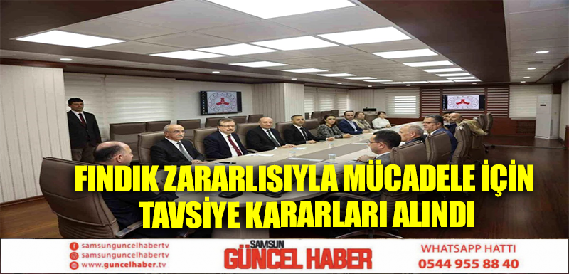 Fındık zararlısıyla mücadele için tavsiye kararları alındı