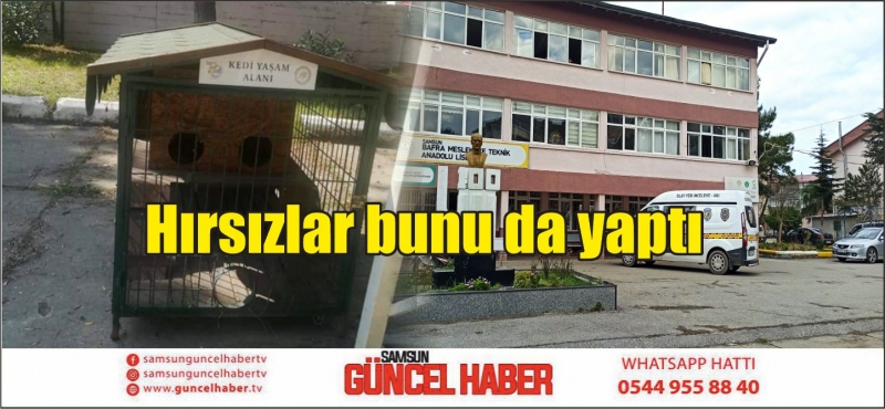 Hırsızlar bunu da yaptı