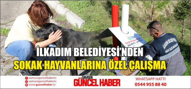 İLKADIM BELEDİYESİ’NDEN SOKAK HAYVANLARINA ÖZEL ÇALIŞMA