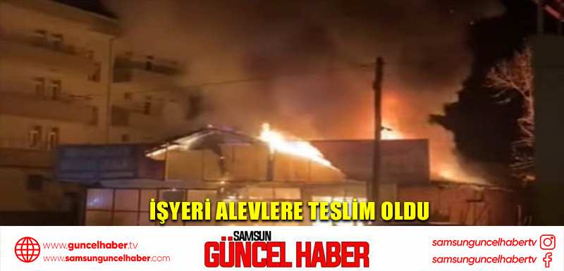 İşyeri alevlere teslim oldu