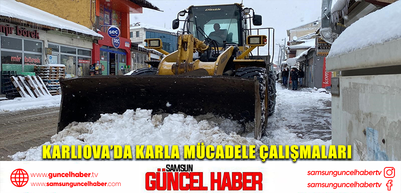 Karlıova’da karla mücadele çalışmaları