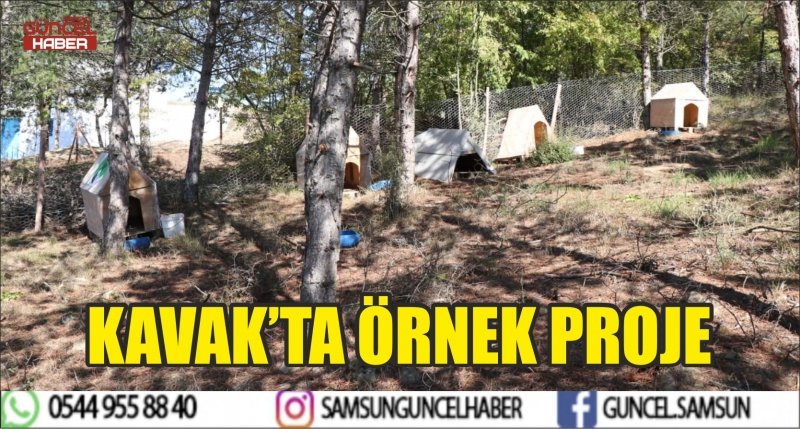 KAVAK’TA ÖRNEK PROJE