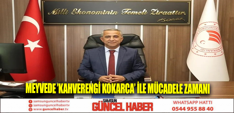 Meyvede ’kahverengi kokarca’ ile mücadele zamanı