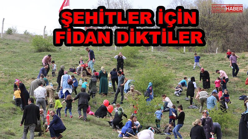 Minik öğrenciler şehitler için fidan dikti