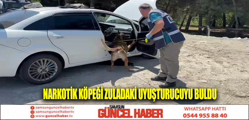 Narkotik köpeği zuladaki uyuşturucuyu buldu