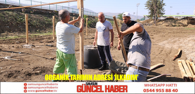 Organik tarımın adresi ‘İlkadım’