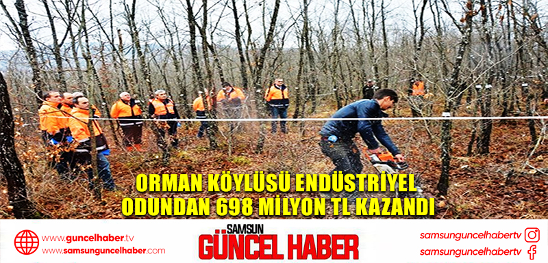 Orman köylüsü endüstriyel odundan 698 milyon TL kazandı