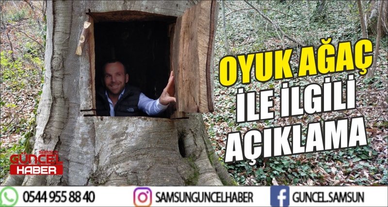 OYUK AĞAÇ İLE İLGİLİ AÇIKLAMA