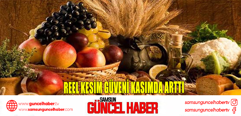 Reel kesim güveni kasımda arttı