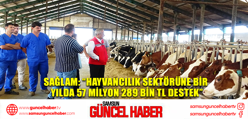 Sağlam: “Hayvancılık sektörüne bir yılda 57 milyon 289 bin TL destek”