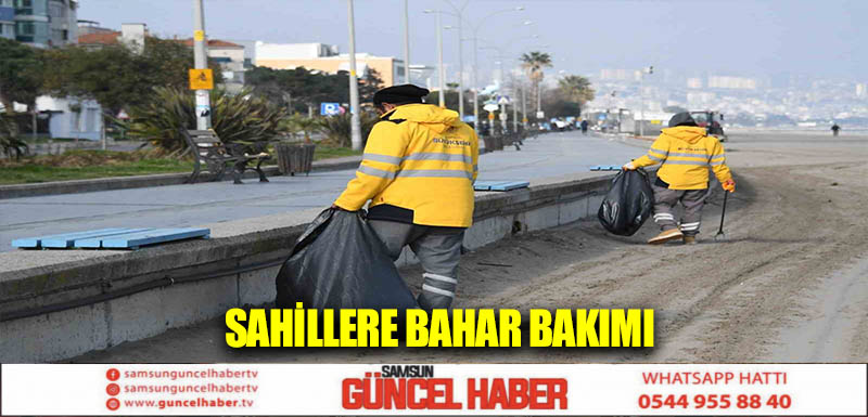 Sahillere bahar bakımı