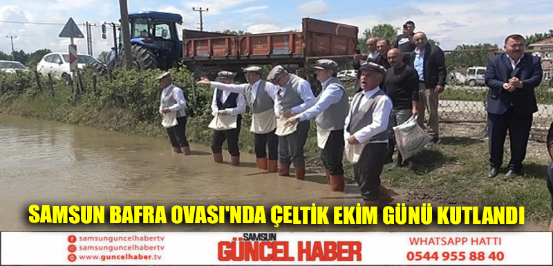 Samsun Bafra Ovası'nda çeltik ekim günü kutlandı