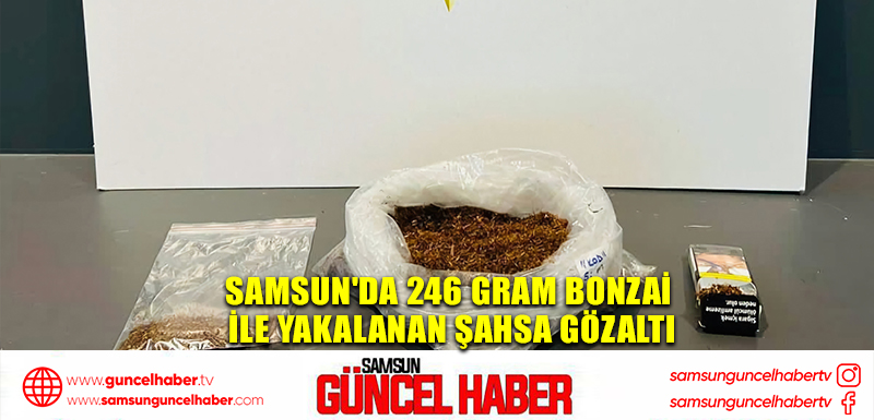 Samsun'da 246 gram bonzai ile yakalanan şahsa gözaltı