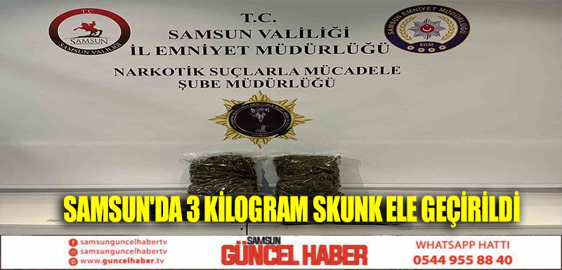 Samsun'da 3 Kilogram Skunk Ele Geçirildi