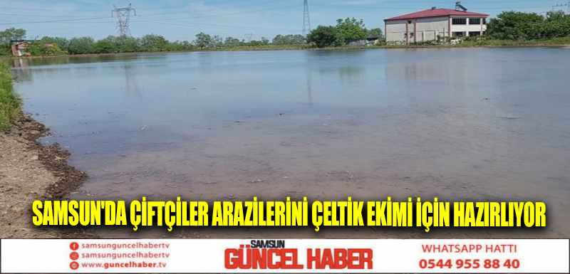 Samsun'da çiftçiler arazilerini çeltik ekimi için hazırlıyor