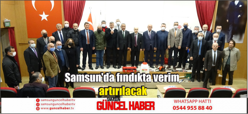 Samsun'da fındıkta verim artırılacak