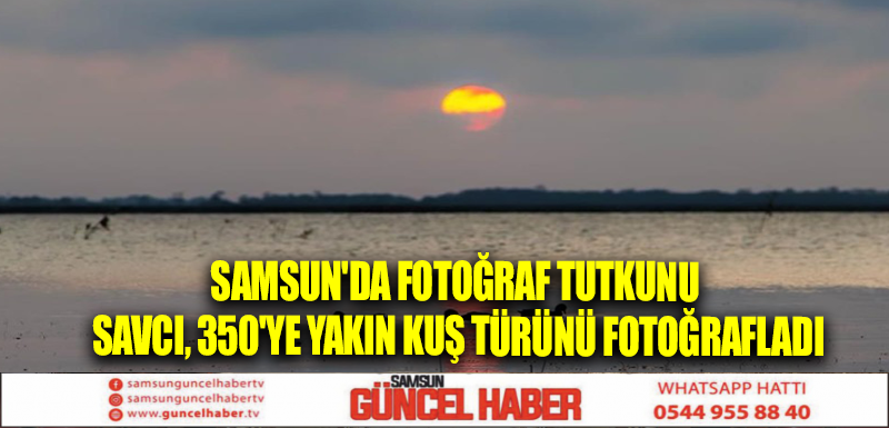 Samsun'da fotoğraf tutkunu savcı, 350'ye yakın kuş türünü fotoğrafladı