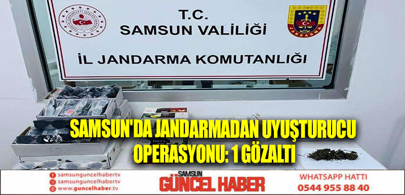 Samsun'da Jandarmadan uyuşturucu operasyonu: 1 gözaltı