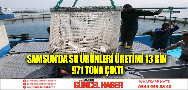 Samsun’da su ürünleri üretimi 13 bin 971 tona çıktı