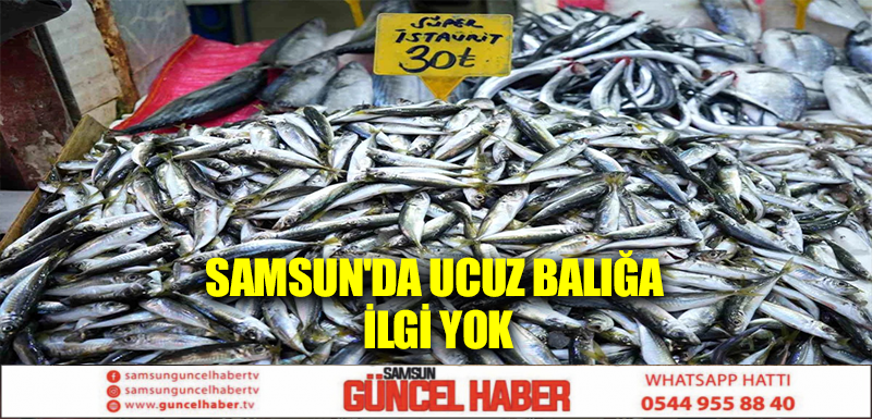 Samsun'da Ucuz Balığa İlgi Yok