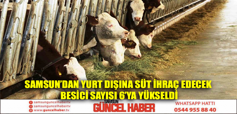 Samsun’dan yurt dışına süt ihraç edecek besici sayısı 6’ya yükseldi