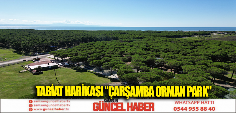 TABİAT HARİKASI “ÇARŞAMBA ORMAN PARK”