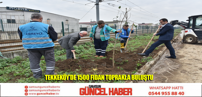 Tekkeköy Belediyesi tarafından 11 Kasım Milli Ağaçlandırma Günü etkinlikleri kapsamında 1500 fidan toprakla buluşturuldu.  