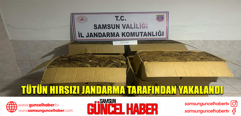 Tütün hırsızı jandarma tarafından yakalandı