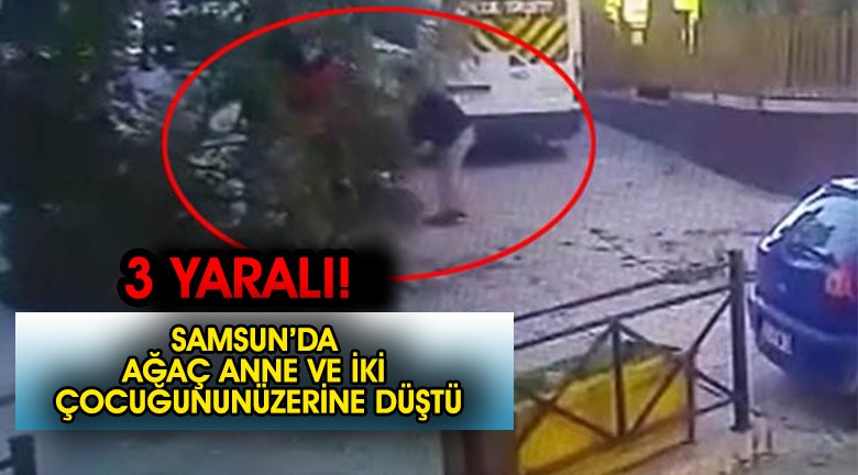 Üzerine ağaç dalı düşen anne ve 2 çocuğu yaralandı