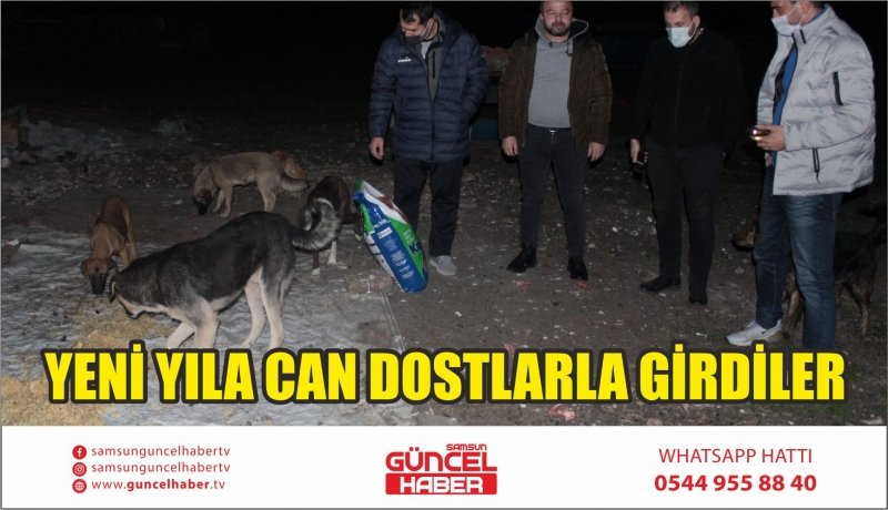 YENİ YILA CAN DOSTLARLA GİRDİLER