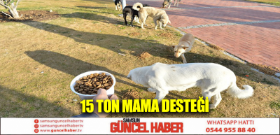 15 ton mama desteği