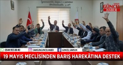 19 MAYIS MECLİSİNDEN BARIŞ HAREKÂTINA DESTEK 