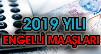 2019 Yılında Engelli Aylıkları Ne Kadar Olacak? 2019 engelli maaşı zammı